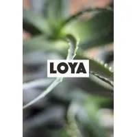 LOYA