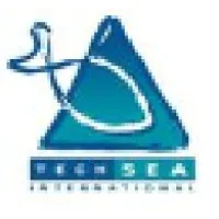 Techsea International, Inc.