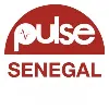Pulse Sénégal Pulse Sénégal