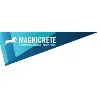 Magnicrete