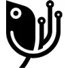 custom coding custom coding