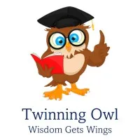 Twinning Owl Learning