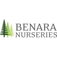 Benara Nurseries