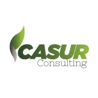 Casur Consulting Casur Consulting