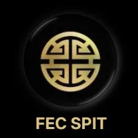 Finance and Economics Club - SPIT