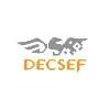 DECSEF SISTEMAS DECSEF SISTEMAS