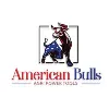 American Bulls American Bulls