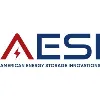 American Energy Storage Innovations, Inc.