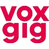 Voxgig Voxgig