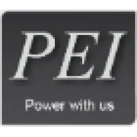 Punjab Electric Industries