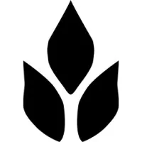 The Plains The Plains