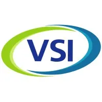 The VSI Team