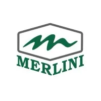 Merlini Engenharia Merlini Engenharia