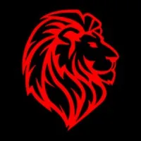 Lion & Lion
