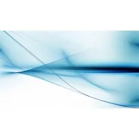 Indipendent Professional Indipendent Professional