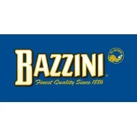 BAZZINI LLC