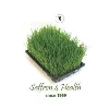 Saffron4Health Pvt. Ltd. Saffron4Health Pvt. Ltd.