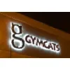 Gymcats Gymnastics Gymcats Gymnastics