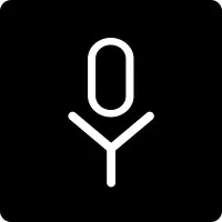 Voysis