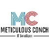 Meticulous Conch IT Solutions Meticulous Conch IT Solutions
