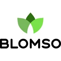 Blomso Blomso
