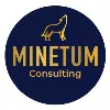 Minetum Consulting Minetum Consulting