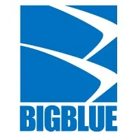 Big Blue Ocean LLC Big Blue Ocean LLC