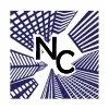 Nina Consultants Nina Consultants