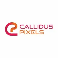 Callidus Pixels Pvt Ltd