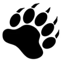 Bearfoot Capital