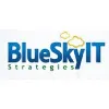 Blue Sky IT Strategies Blue Sky IT Strategies