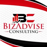 BizAdvise Consulting BizAdvise Consulting