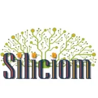 Siliciom Technologies Pvt Ltd