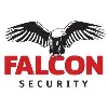 Falcon Security Falcon Security