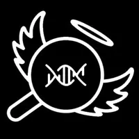 Search Angels Search Angels