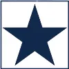 Bluestar Engineering Ltd. Bluestar Engineering Ltd.