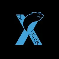 X-projects
