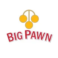 BIG PAWN, INC BIG PAWN, INC