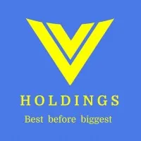 Vholdings International