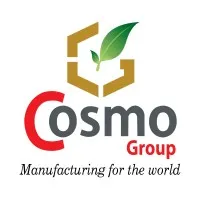 Cosmo Group
