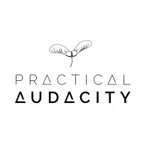 PRACTICAL AUDACITY LLC