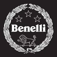 BENELLI Q. J. SRL