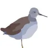 Sandpiper Coaching Sandpiper Coaching