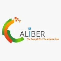 Caliber IT Solutions Inc