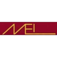 Michigan Ear Institute