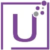 US Software Professionals Inc.