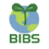 BIBS - Beanstalk International Bilingual School - 青苗国际双语学校 BIBS - Beanstalk International Bilingual School - 青苗国际双语学校