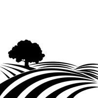 Kerrville Hills Winery Kerrville Hills Winery