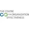 The Centre for Organization Effectiveness The Centre for Organization Effectiveness