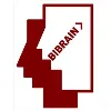 Bibrain - Engineering Consulting Company Bibrain - Engineering Consulting Company